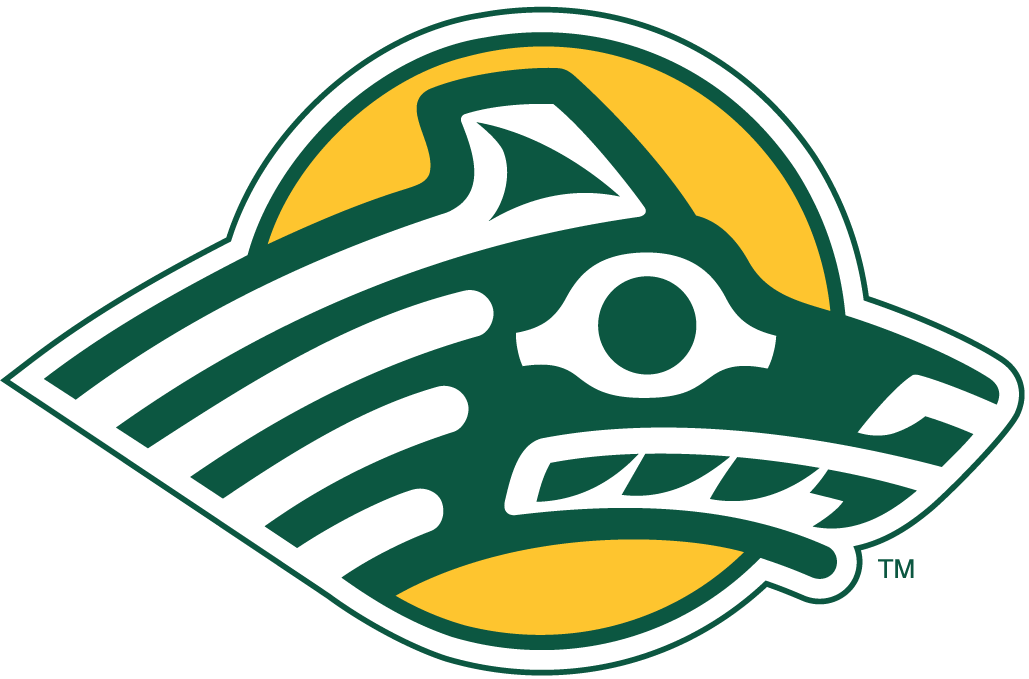 Alaska Anchorage Seawolves 1973-Pres Primary Logo diy iron on heat transfer